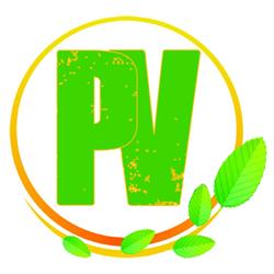 Punto Verde