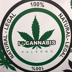 I love cannabis store Palermo