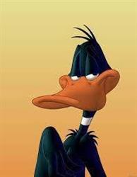 Black Duck Bazaar