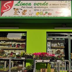 Linea Verde