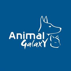 Animal Galaxy San Gavino