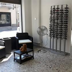 Ottica salvo