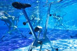 Piscina Vandelli Sogese