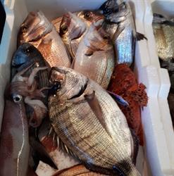 Pescheria Azzurro Mare