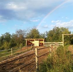 Amazing Grace Ranch