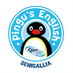 Pingu's English Senigallia