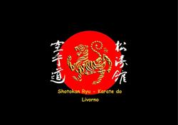 Shotokan Ryu - livorno _karate do