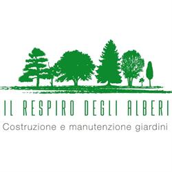 Il Respiro degli Alberi