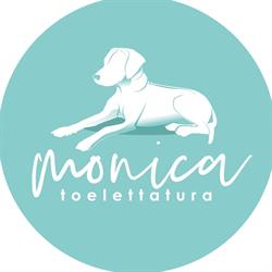 toelettatura monica