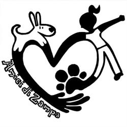 Amici di Zampa