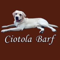 Ciotola Barf - Sedriano