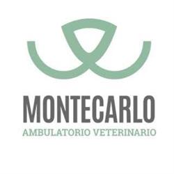 Ambulatorio Veterinario Montecarlo