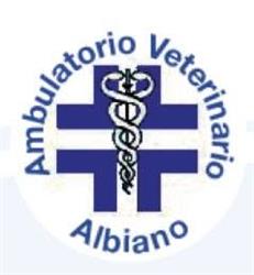 Ambulatorio Veterinario Albiano