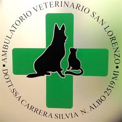 Ambulatorio Veterinario San Lorenzo