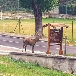 B&B Valle Florina
