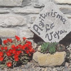 Agriturismo Cà Veja
