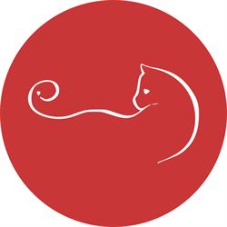 Chat Qui Rit