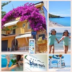 Blue Marlin