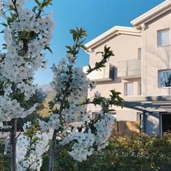 Hotel pove
