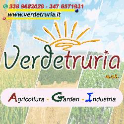 Verdetruria S.r.l.