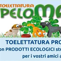 Pelomatto