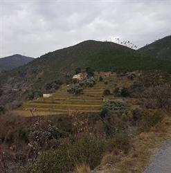 Azienda Agricola Bambugio