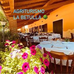 La Betulla