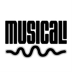 Associazione Musicali Sale Prova Corsi di Musica Studio di Registrazione