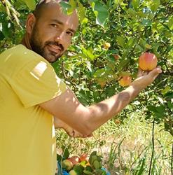 Portafrutta DI MAURO PORTA