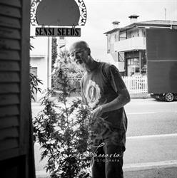 Canapa Shop, Tattoo Shop e Sexy Shop Van Gogh