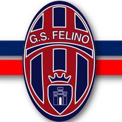 G.S. FELINO