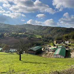 Azienda Agricola Laiano dei Sirigu