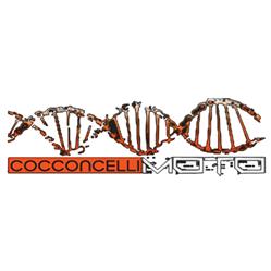 Cocconcelli Moto S.R.L.
