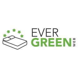 EVERGREENWEB S.R.L.