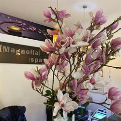 MAGNOLIA S.R.L.