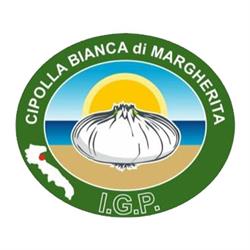 Cipolla Bianca di Margherita I.G.P.