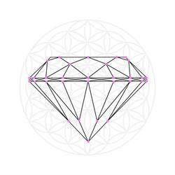 Il Diamante Rosa - Martina Crepaldi
