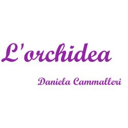 L'Orchidea