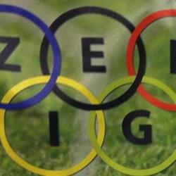Zelig Sport