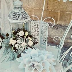 CELESTE CREAZIONI S.R.L.S.