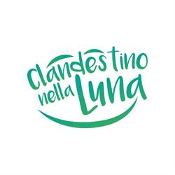 Clandestino nella luna solo su appuntamento