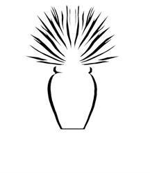 L'Agave Nel Vaso