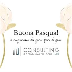 MJ Consulting