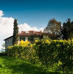 Podere Scaluccia