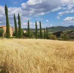 Colle di Mezzo