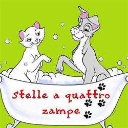 Stelle a 4 Zampe - Toelettatura - Pet Food - Alimentazione per Cani - Collari