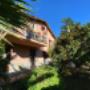 Gallery Professionale
