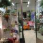 Gallery Professionale
