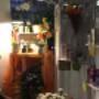 Gallery Professionale