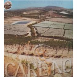 Azienda Agricola Carlino Giuseppe